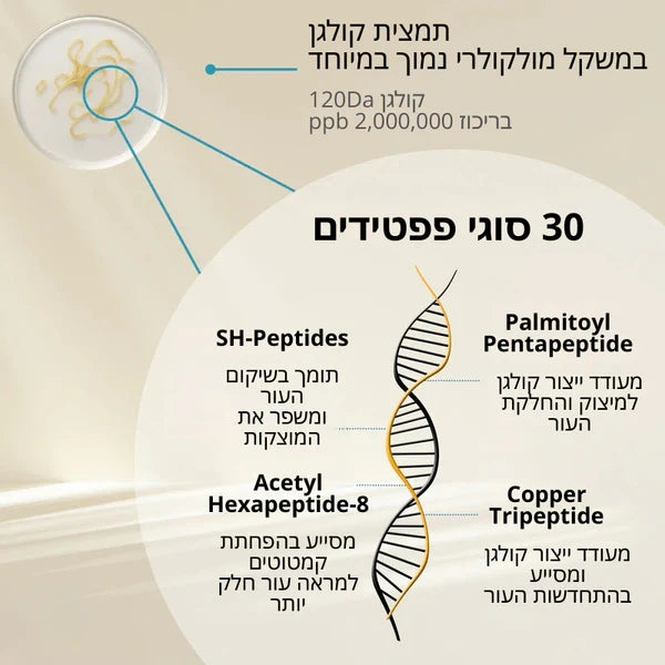 Patchiv™ אמפולת קולגן משי קוריאני